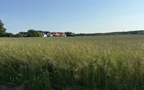 Wohlfühl-Blick für die Seele in Barendorf