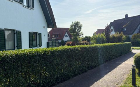 Weg zum Haupteingang